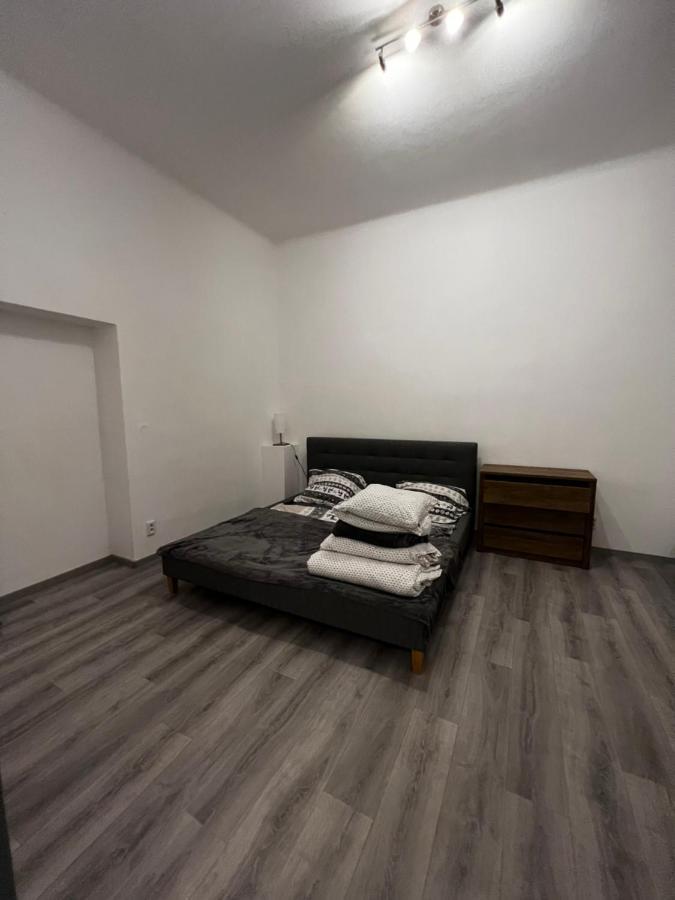 Mlynsky Ostrov Apartment 2 Zdice 外观 照片