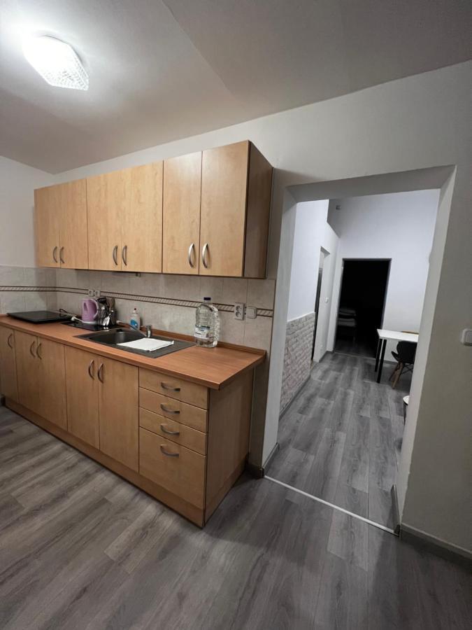 Mlynsky Ostrov Apartment 2 Zdice 外观 照片